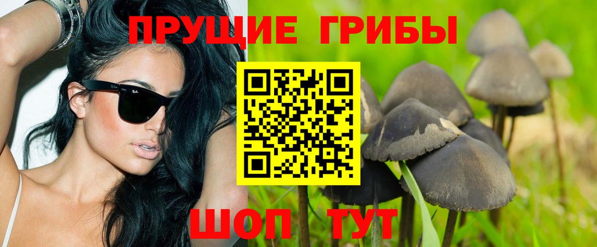 Галлюциногенные грибы Cubensis  Вход с VPN  Барнаул 