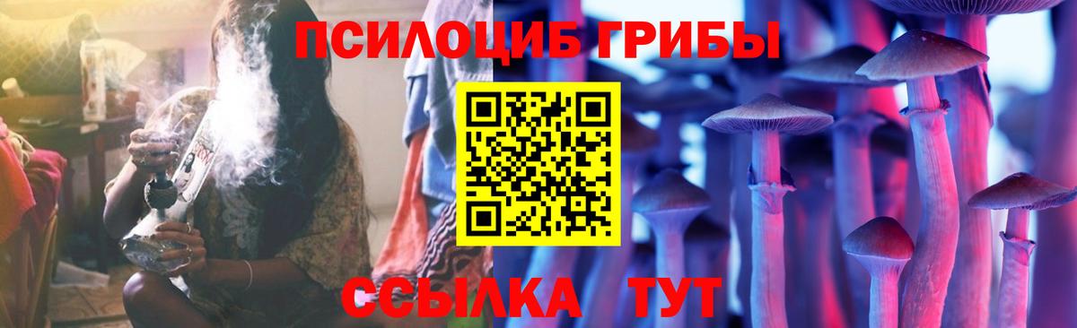 Псилоцибиновые грибы GOLDEN TEACHER Барнаул